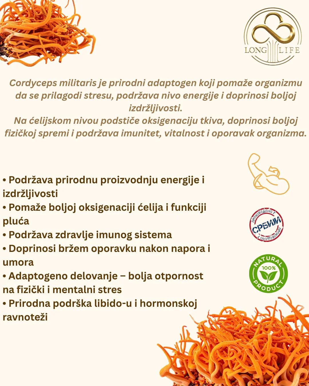 Kordiceps Tinktura slika 2
