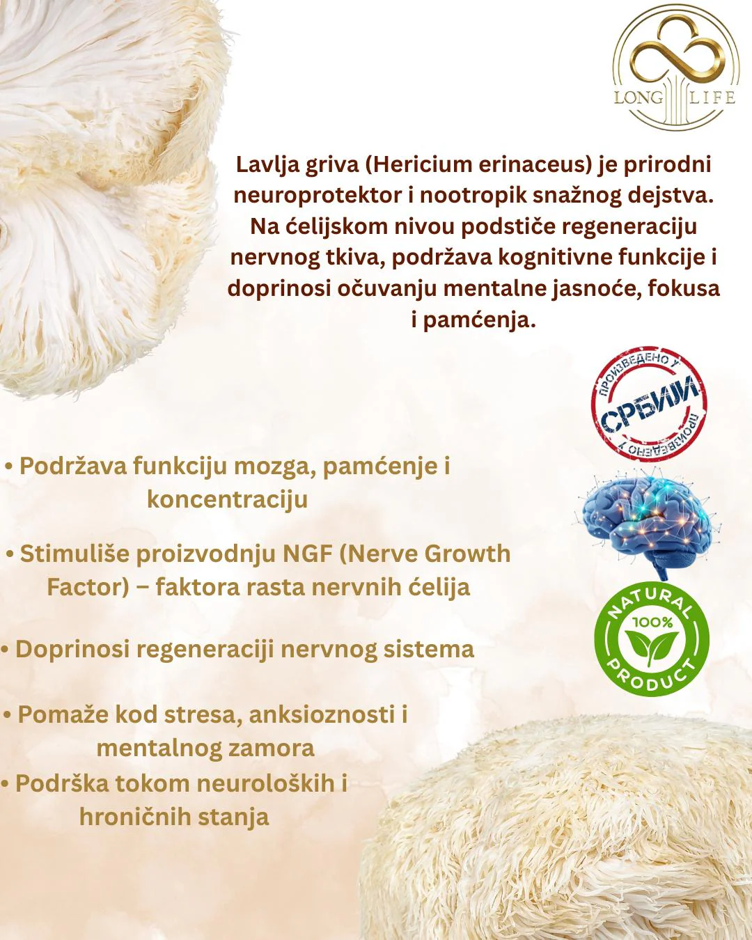 Lavlja Griva Tinktura slika 2